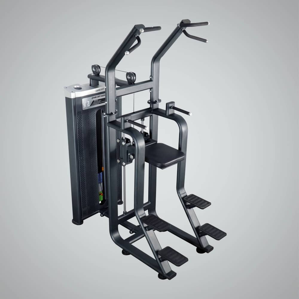 LIFE FIT Pro Assist Dip Chin Machine