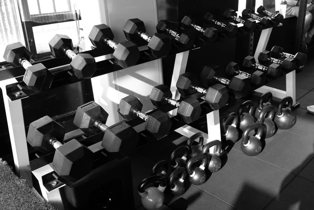 Dumbbell Collection