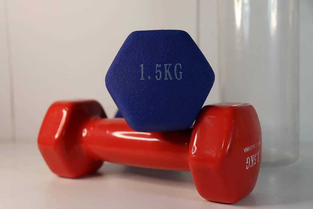 vinyl Dumbbell