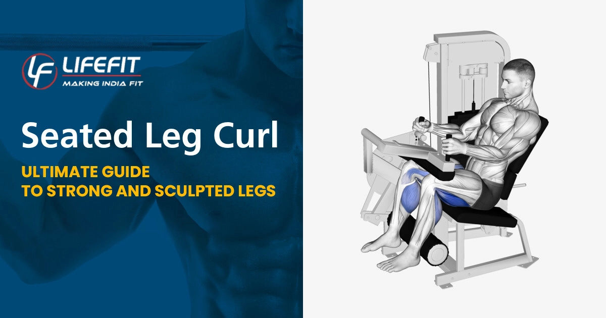 Seated Leg Curl Ultimate Guide